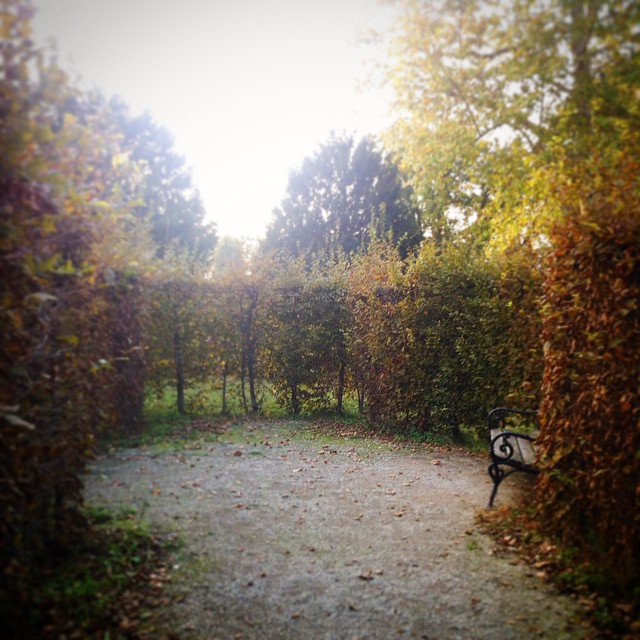 Instagram: Oktober 2014